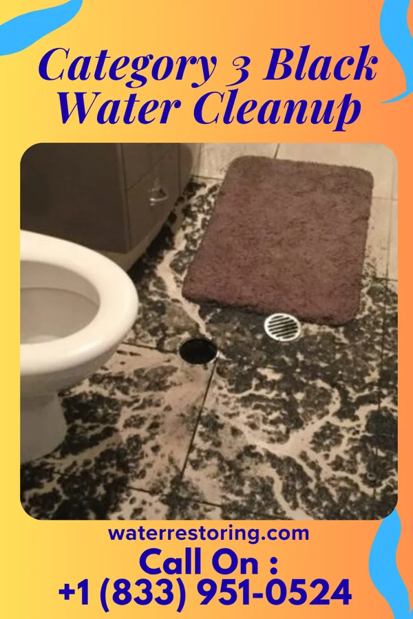 Category 3 Black Water Cleanup in Gaston, NC
