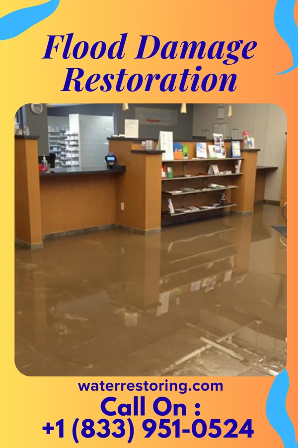 Flood Damage Restoration in Gaston, NC