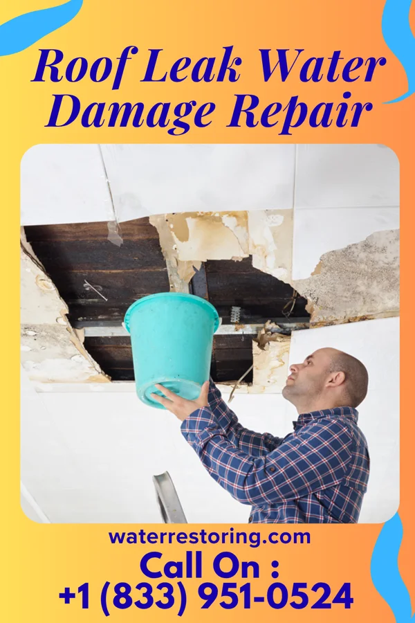 Roof Leak Water Damage Repair in Gaston, NC