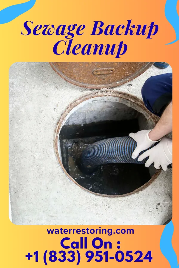 Sewage Backup Cleanup in Gaston, NC