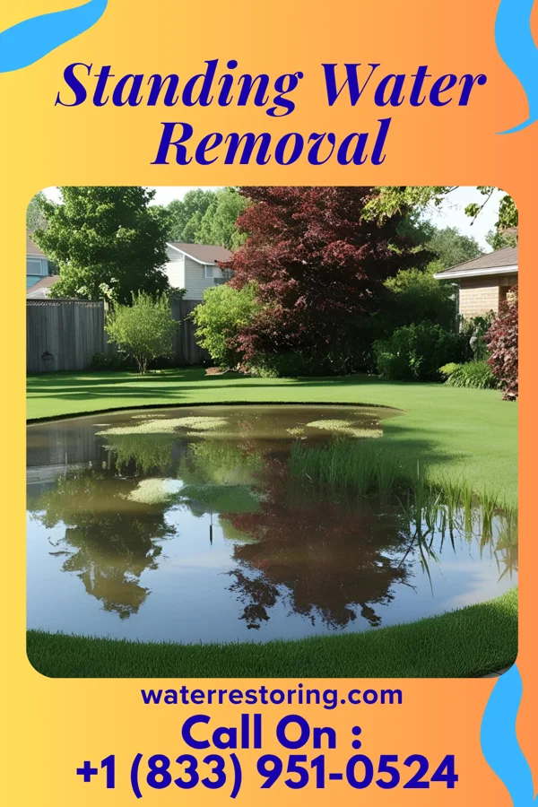 Standing Water Removal in Gaston, NC